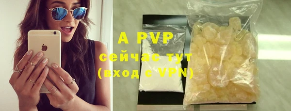 гидра Слюдянка