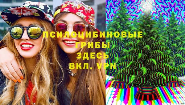 тгк Снежинск