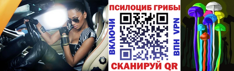 Галлюциногенные грибы мухоморы  ОМГ ОМГ маркетплейс  Кирс  хочу наркоту 